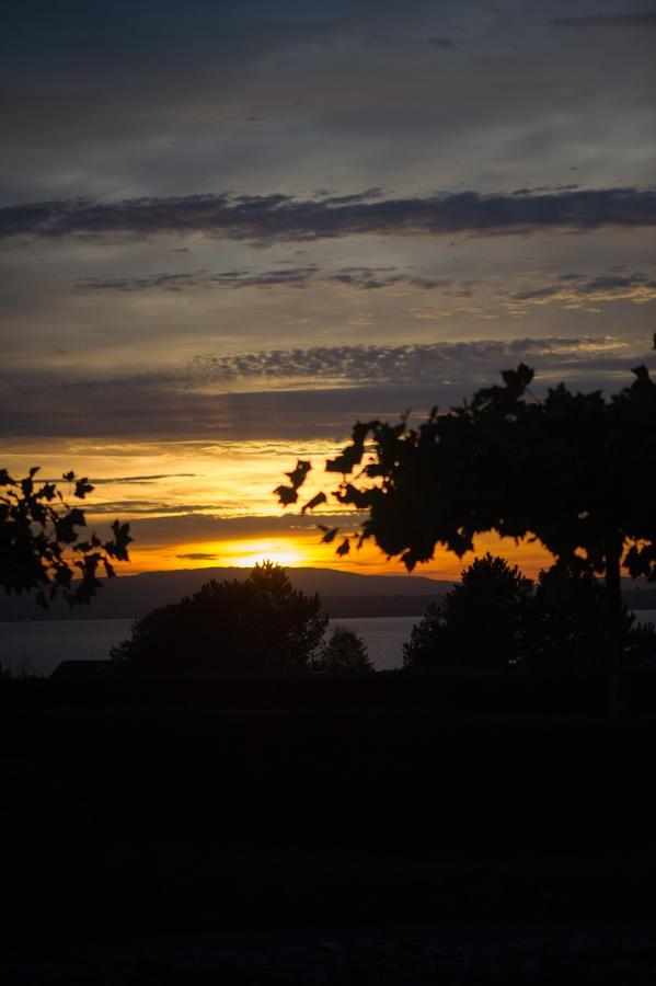 Burgunderhof Bodensee - Adults Only 4*